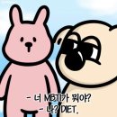🏃‍♀️ 다이어트 체중 기록 달글 🏃‍♀️ 이미지