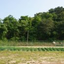 석모도 성호펜션 이미지