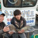 추자힐링랜드 이미지