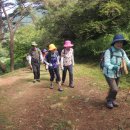 창곡길 Daum카페