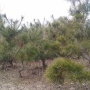 (주)주당 이미지