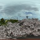 효돈동-4 이미지