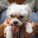 성원아파트 앞　 이미지