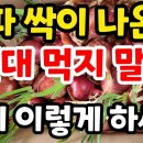 싹 난 양파 먹지 말고 이미지