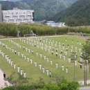 부산대 박사 태권도 이미지