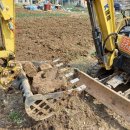 처갓집말뚝 이미지