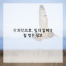 이젠 스포츠 이미지