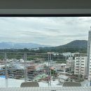 베이크오이