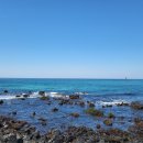 제주국제예술센터 | 오션뷰 호텔, 자쿠지 갖춘 &#39;호텔 스카브로&#39; 출장 숙소로 강력 추천 후기! / 제주국제컨벤션센터 인근 호텔