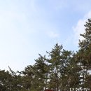 (오토캠핑) 몽산포오토캠핑장 (2011년11월12일 ~ 13일)