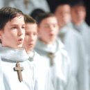 천상의 나무 이미지