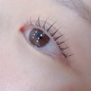 마케팅브로 | 별내 속눈썹 브로우미에서 인생 컬 만난 찐 후기 (창업 클래스 정보까지!)