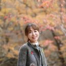 순천만 여행 이미지