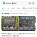 KBS | 🚨 KBS 입사 후기 🚨