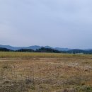 풍산 태양광발전소 이미지