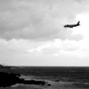 교래자연휴양림야영장 이미지