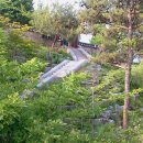 용흥궁공원 이미지