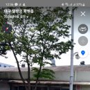 대곡스포츠 네이버블로그