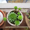 듬티별미식당 이미지