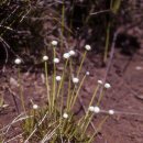 곡정초등학교 이미지