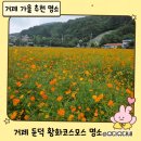 포도밭1길 | 거제 가을여행 필수코스! 둔덕 황화코스모스 꽃밭 &amp; 바다뷰 산책
