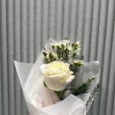 플로바이나