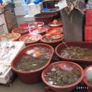 석포리선착장 이미지