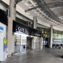 (Jeju island) 제주 여행 자동차 렌트, 끌리면타라(!) 스타렌트카 이용후기