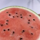 깍둑댁