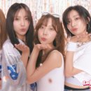 프림로즈 카카오 검색결과