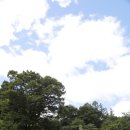 용추글램핑&펜션 이미지