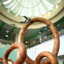 경상북도산림과학박물관 이미지