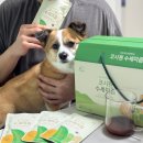 상희농장 | 고창상희팜푸드 코시원 수세미즙 도라지배즙 설선물세트 추천