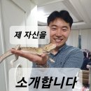 부동산TV공인중개사사무소 이미지