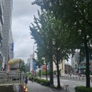 홍대부동산비디비부동산중개 이미지