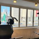 올바른필라테스&PT | 반월당 PT 체력, 자세, 유연성까지 다잡은 수핏 PT&amp;필라테스 후기🏋️‍♀️