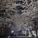 내손탁구장 이미지