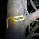 금강송체험야영장 이미지