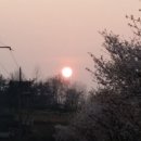 삼향천7 이미지