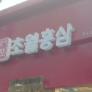 초월홍삼 부산용호점
