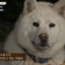 소담호프 - 당진시 송산로 164 | 소담호프