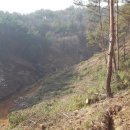 매골농장 이미지