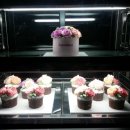 아이엠케익(IAMCAKE)