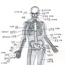 본구조 이미지