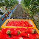 은형농장 이미지