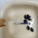 세진메디 이미지