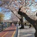 법현농장 | 인도양에서 본 세계사(21세기 지정학은 인도양에서 결정될 것이다.호모사피엔스의 진출부터 21세기 전망...