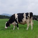 청초농장 이미지