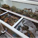 사계절 바다 맛집 이미지