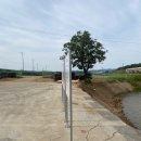 거성상사 이미지